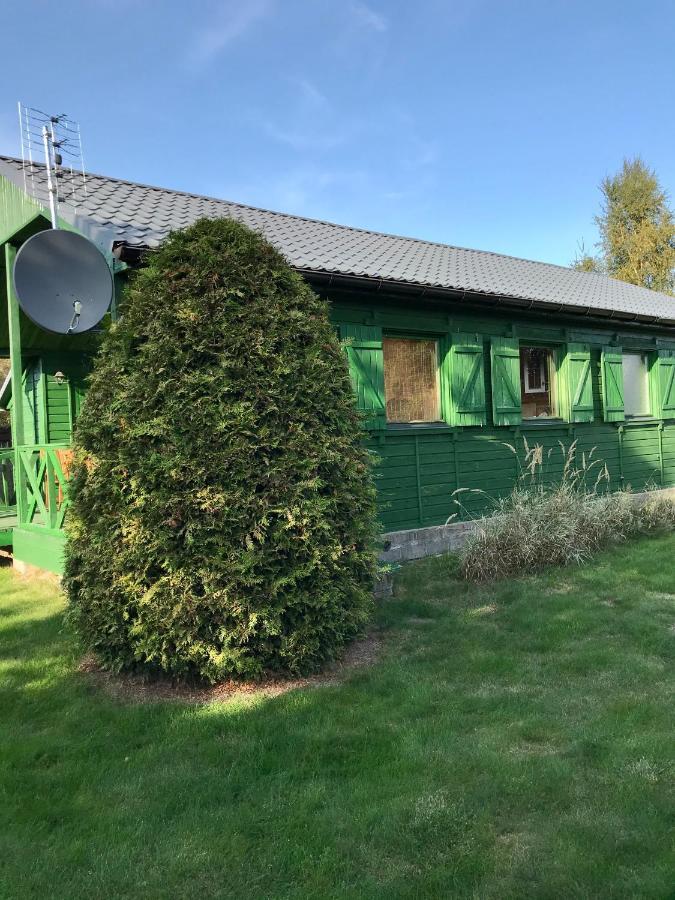 Domek Green Dzwirzyno * Dzwirzyno